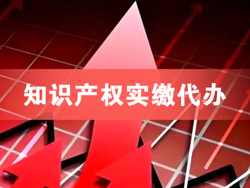 滨州知识产权实缴资本代办